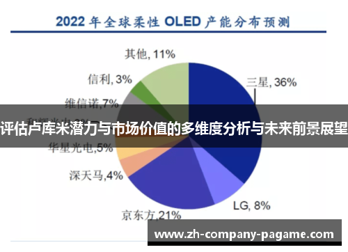 评估卢库米潜力与市场价值的多维度分析与未来前景展望