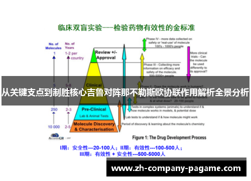 从关键支点到制胜核心吉鲁对阵那不勒斯欧协联作用解析全景分析